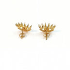 Eyeglasses and earrings
