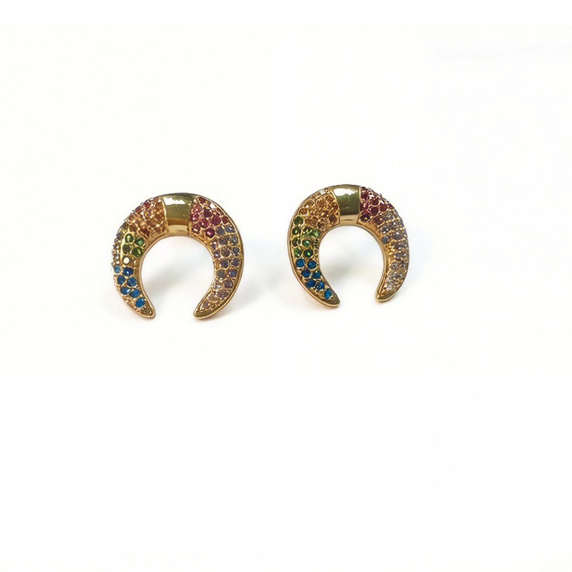 Moon Earrings Main image